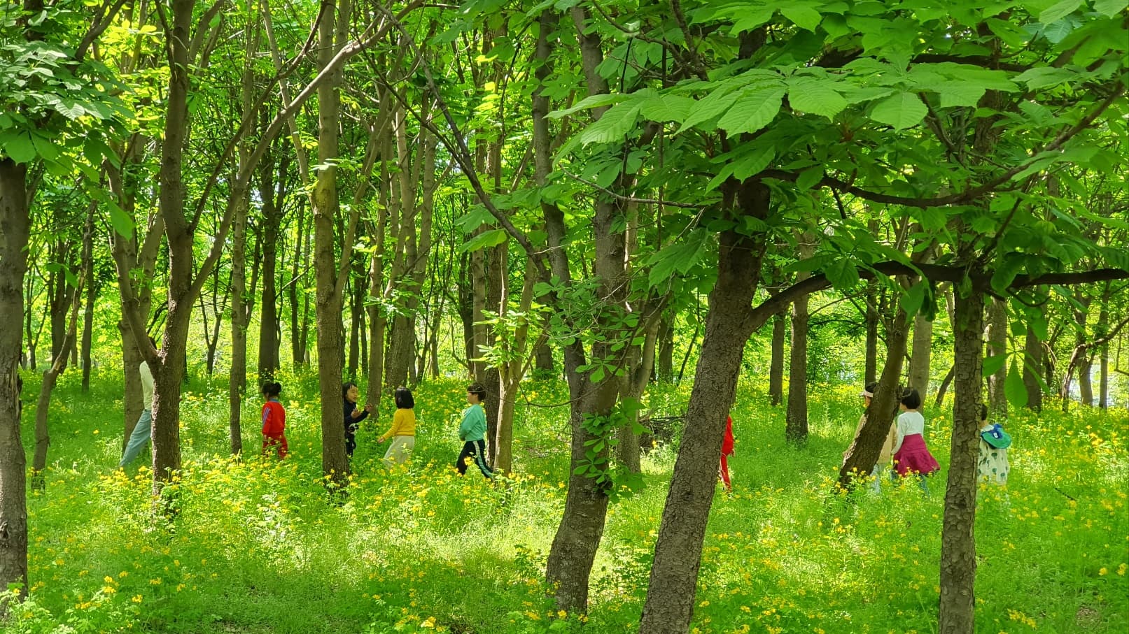 봄빛 가득한 숲에서 산책하는 아이들