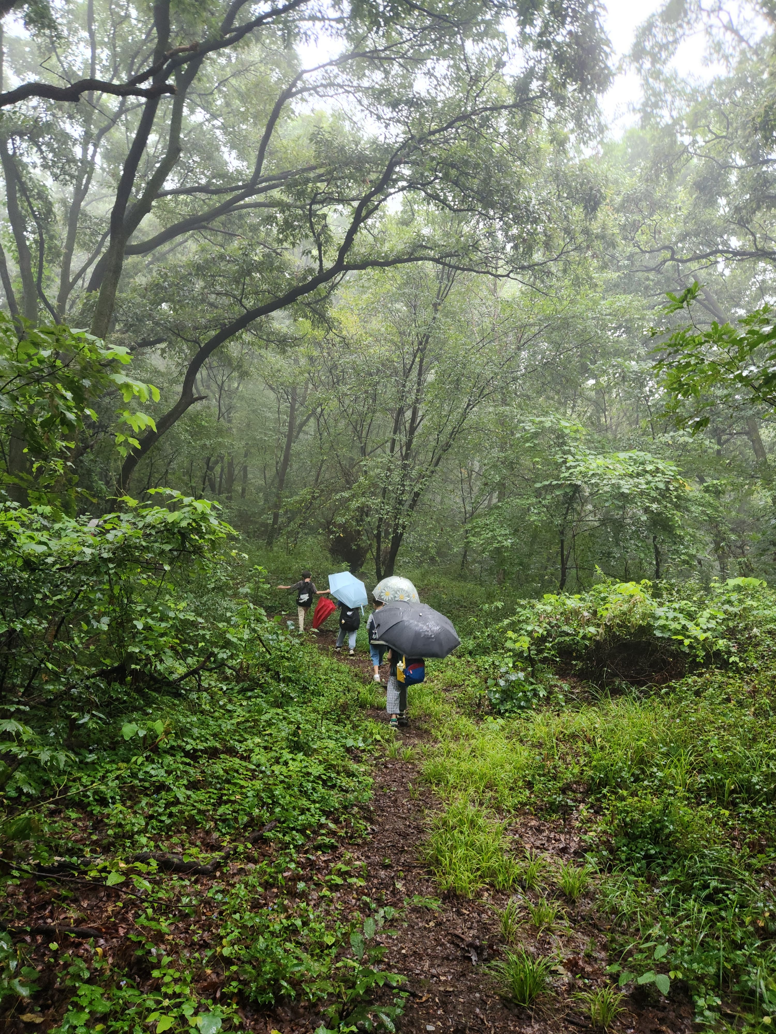 안개 자욱한 산길에서 잠시 쉬어가는 아이들